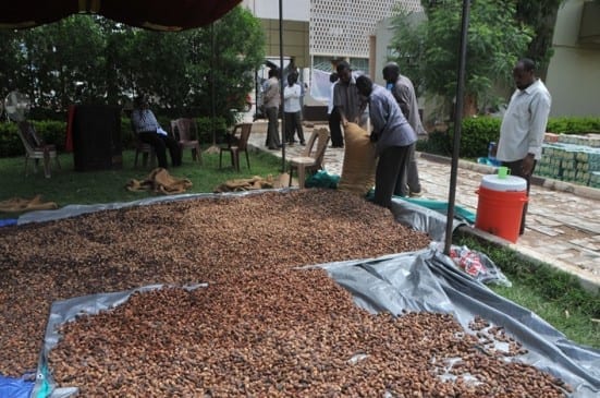 Dried dates for flood victims.