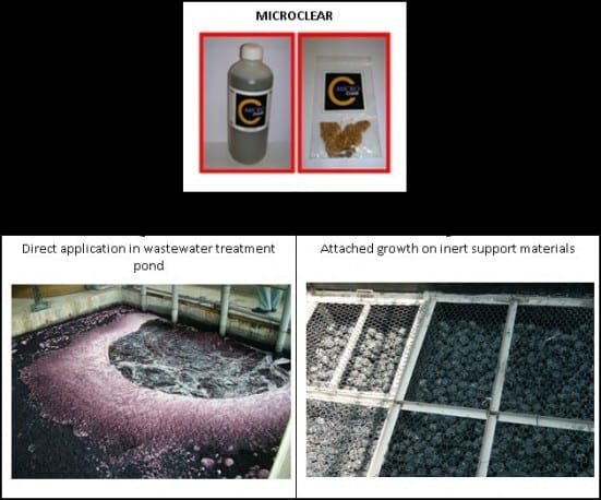 MicroClear flowchart_Zaharah_18_2