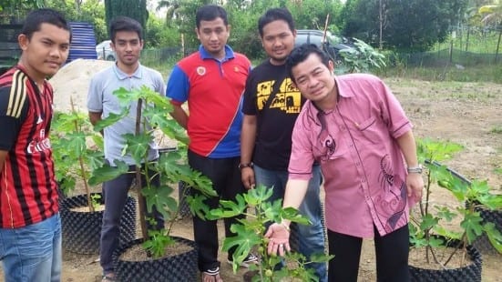Ishak Ahmad (most right) with the members of UTM MyAgrosis Project holding Pokok Tin at Dusun UTM. Besides the Dusun, UTM also rented a land at Kg Rantau Panjang, Bukit Besar, Kulaijaya for the purpose of this project.