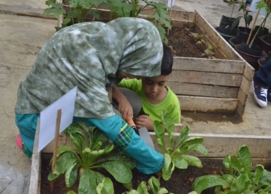 Visitors are able to pick their own vegetable.