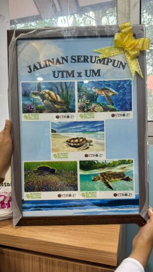 Hasil kerja 'postcard' untuk pihak Bajulmati Sea Turtle Conservation