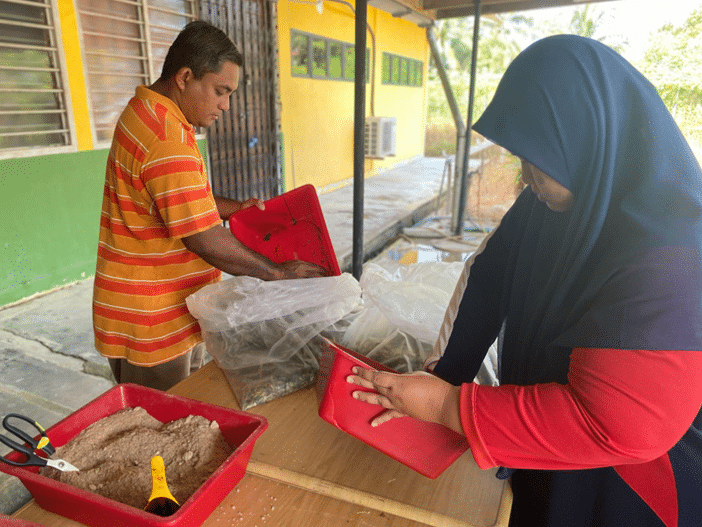 Penternak memasukkan molases ke dalam TMR