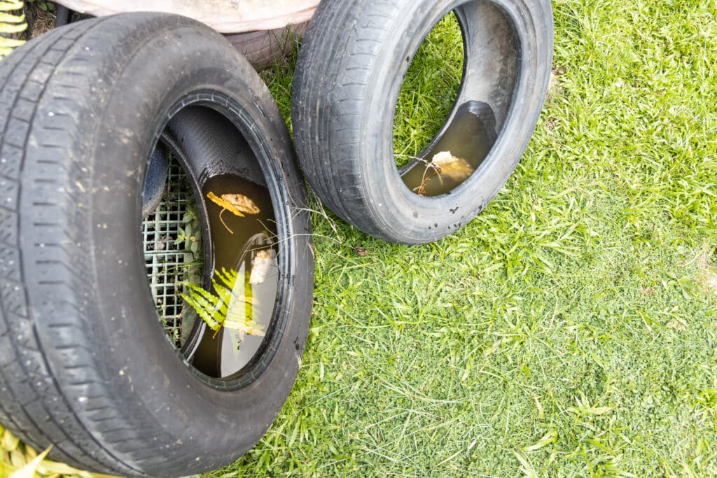 Abandoned tyre outdoor with still water from rain condusive place for aedes mosquito breeding Selective focus on water