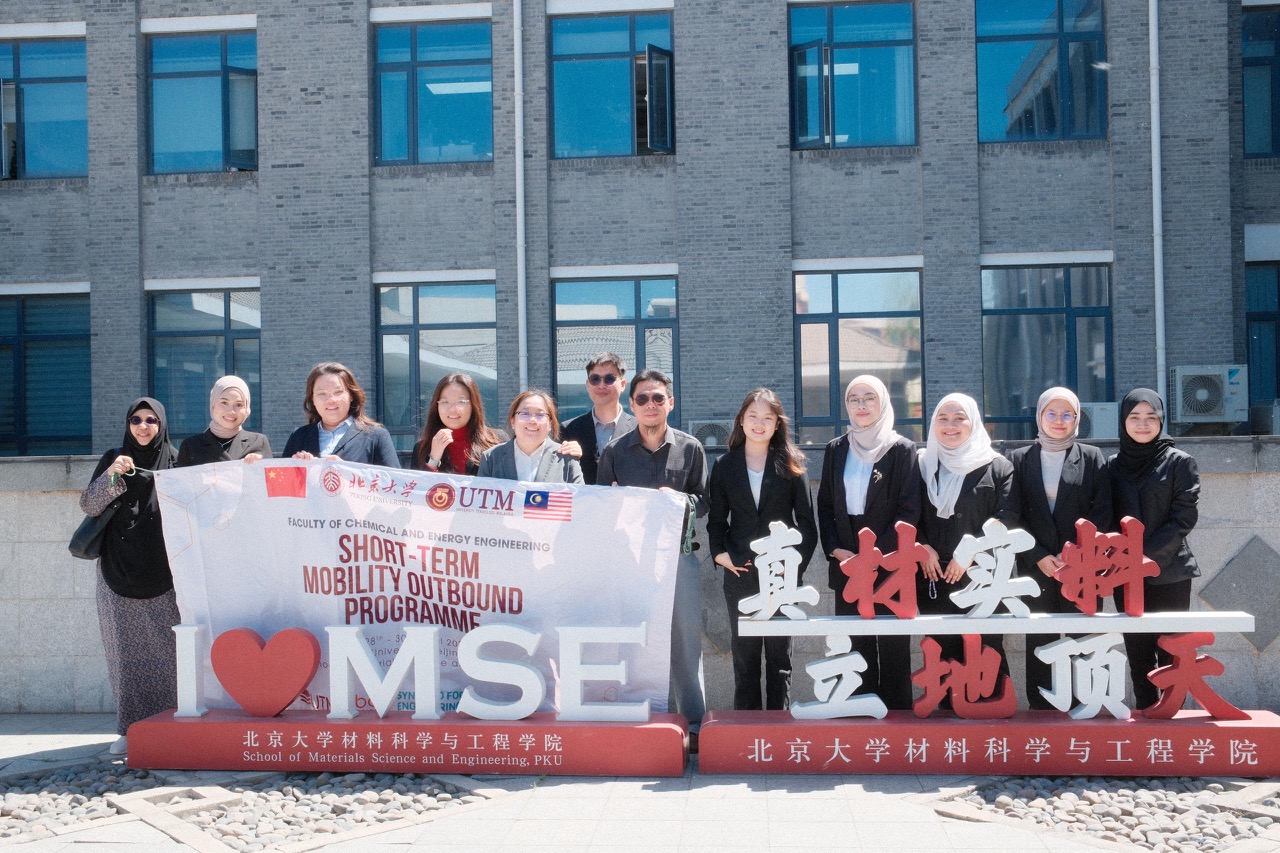 group MSE